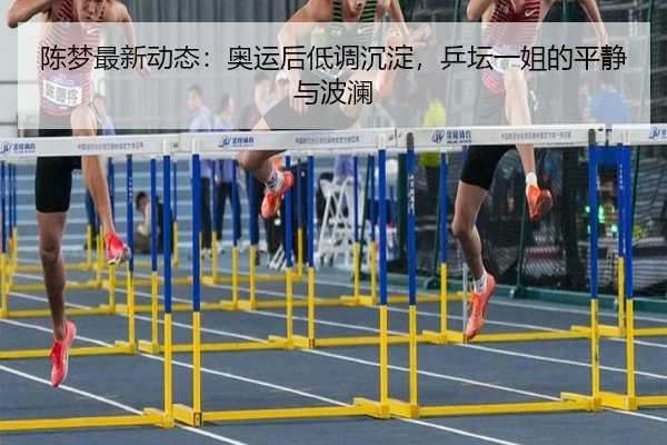 陈梦最新动态：奥运后低调沉淀，乒坛一姐的平静与波澜（leyu）